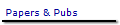 Papers & Pubs