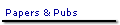 Papers & Pubs